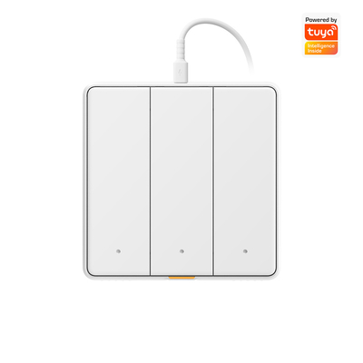 Tuya WIFI touch Switch Smart home với Type C Timing Voice App Alexa, Google Home RF433 Smart EU Wall Light Button Switch